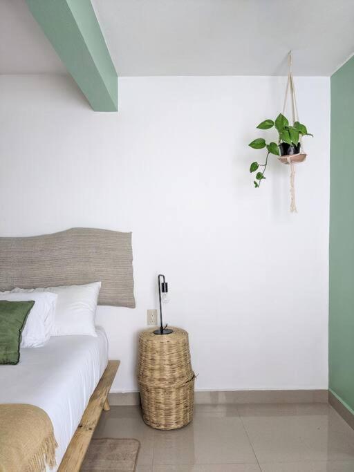 Casa Mua 호텔 San Cristóbal de Las Casas 외부 사진
