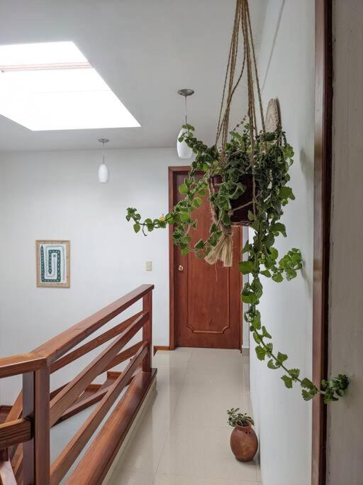 Casa Mua 호텔 San Cristóbal de Las Casas 외부 사진