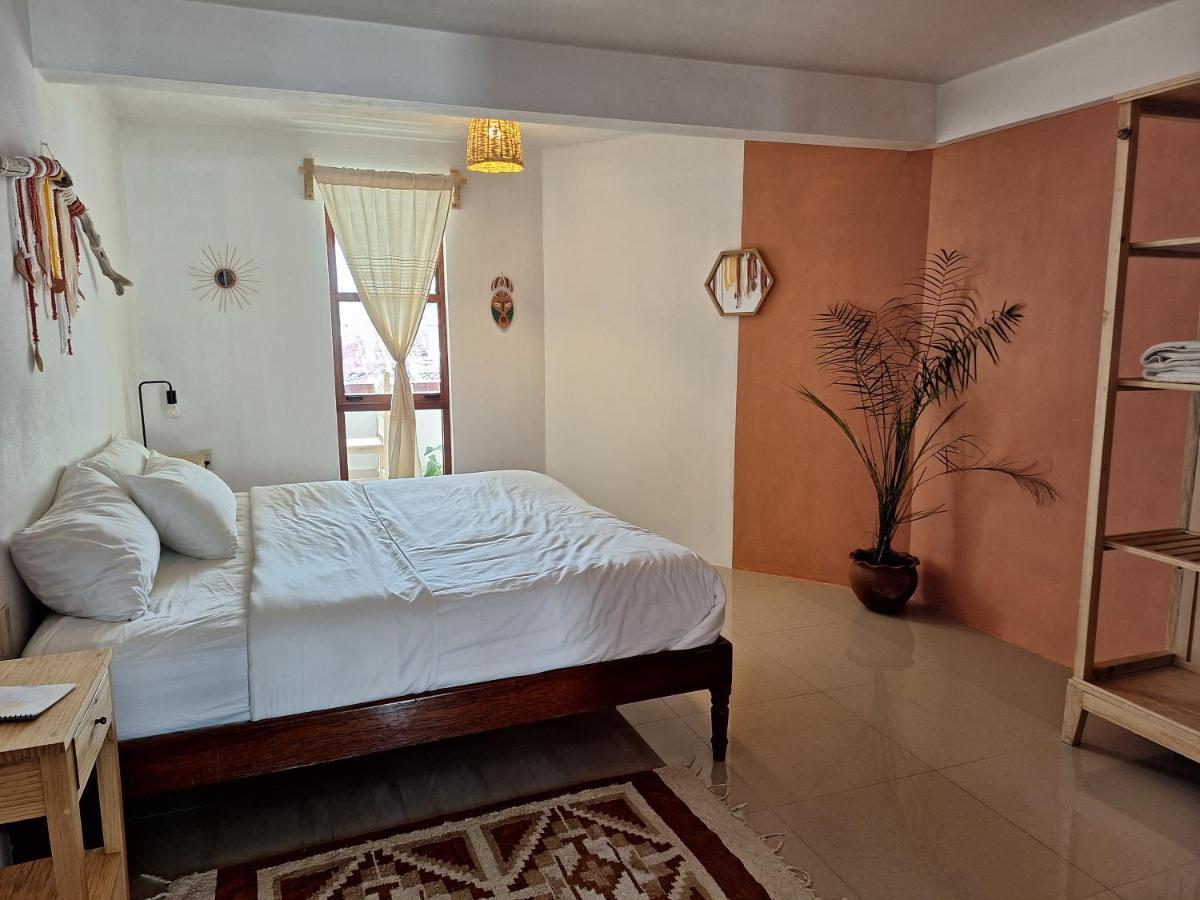 Casa Mua 호텔 San Cristóbal de Las Casas 외부 사진